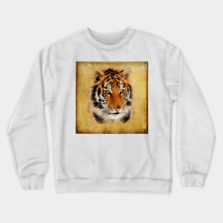 The Tiger Stare / Watercolour Art Crewneck Sweatshirt